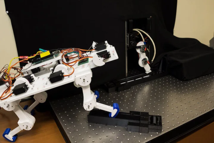 The new robotic limb attached to a four-legged machine