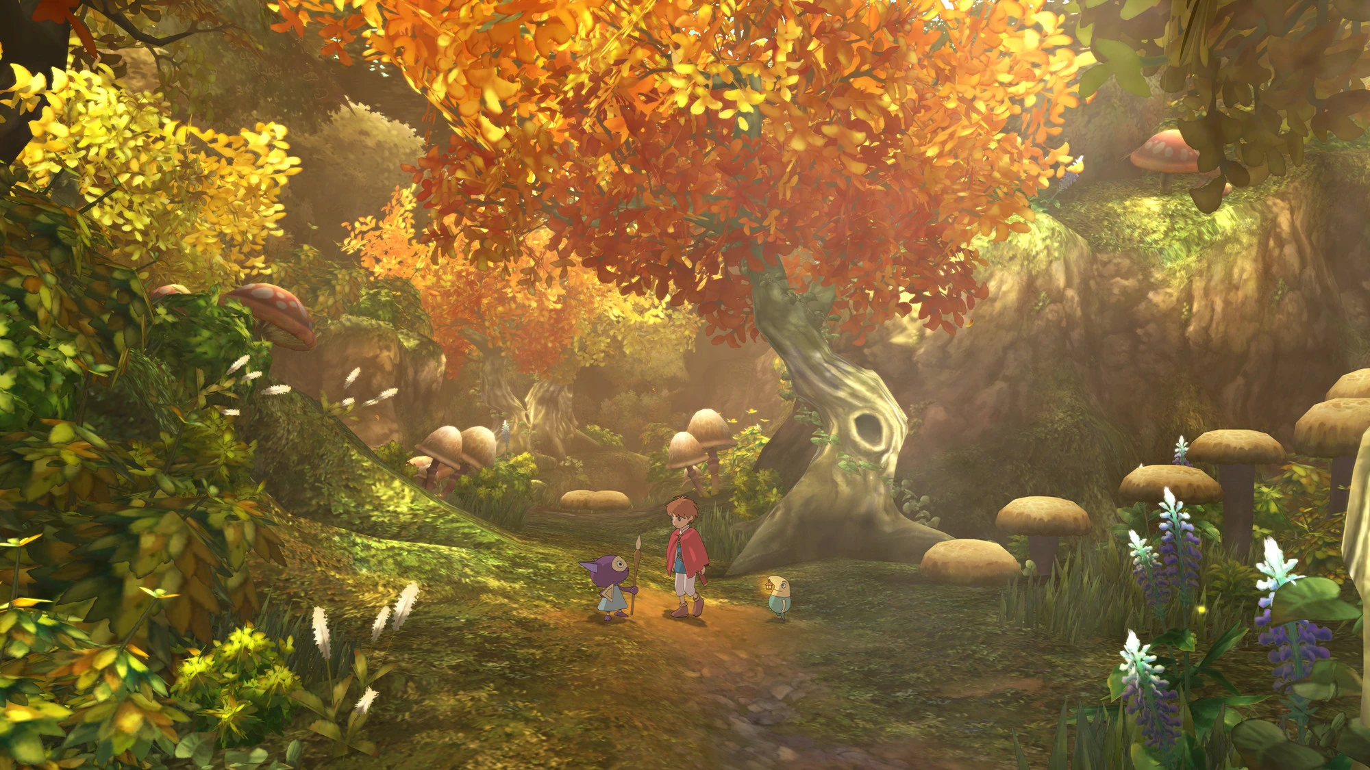 Oliver explores a forest