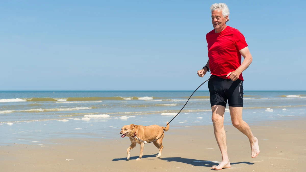 It is hope a new class of drugs found to slow the aging process in mice could have the same effects in humans (Photo: Shutterstock)