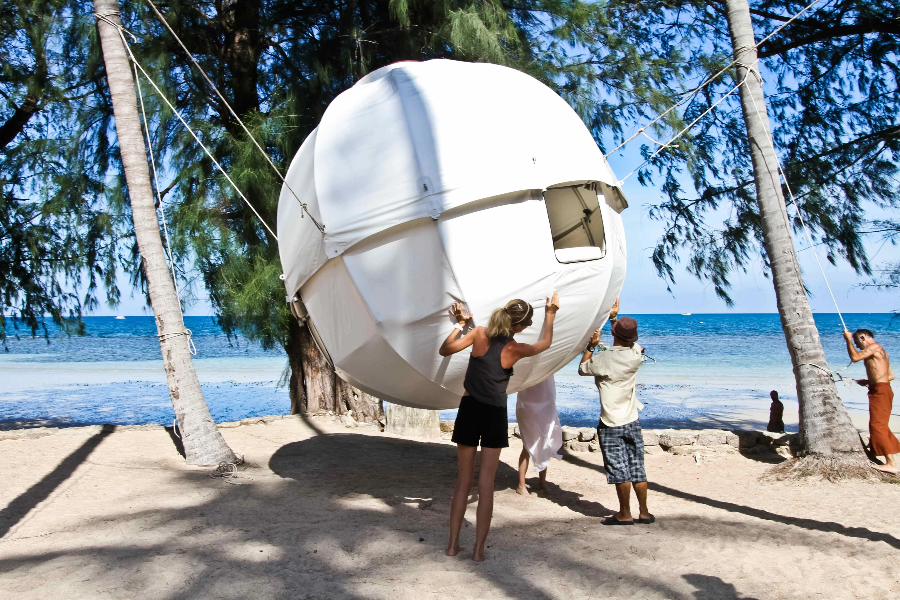 Self assembly is possible, but you might need a little help lifting it up among the trees
