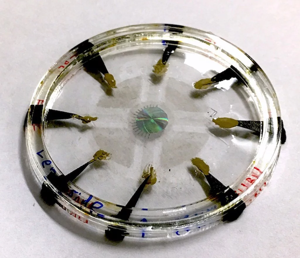 The eye is electrically-controlled by an elastomer muscle