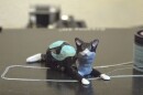 A 3D-printed cat, made from one filament comprised of four types of PLA (polylactic acid) plastic