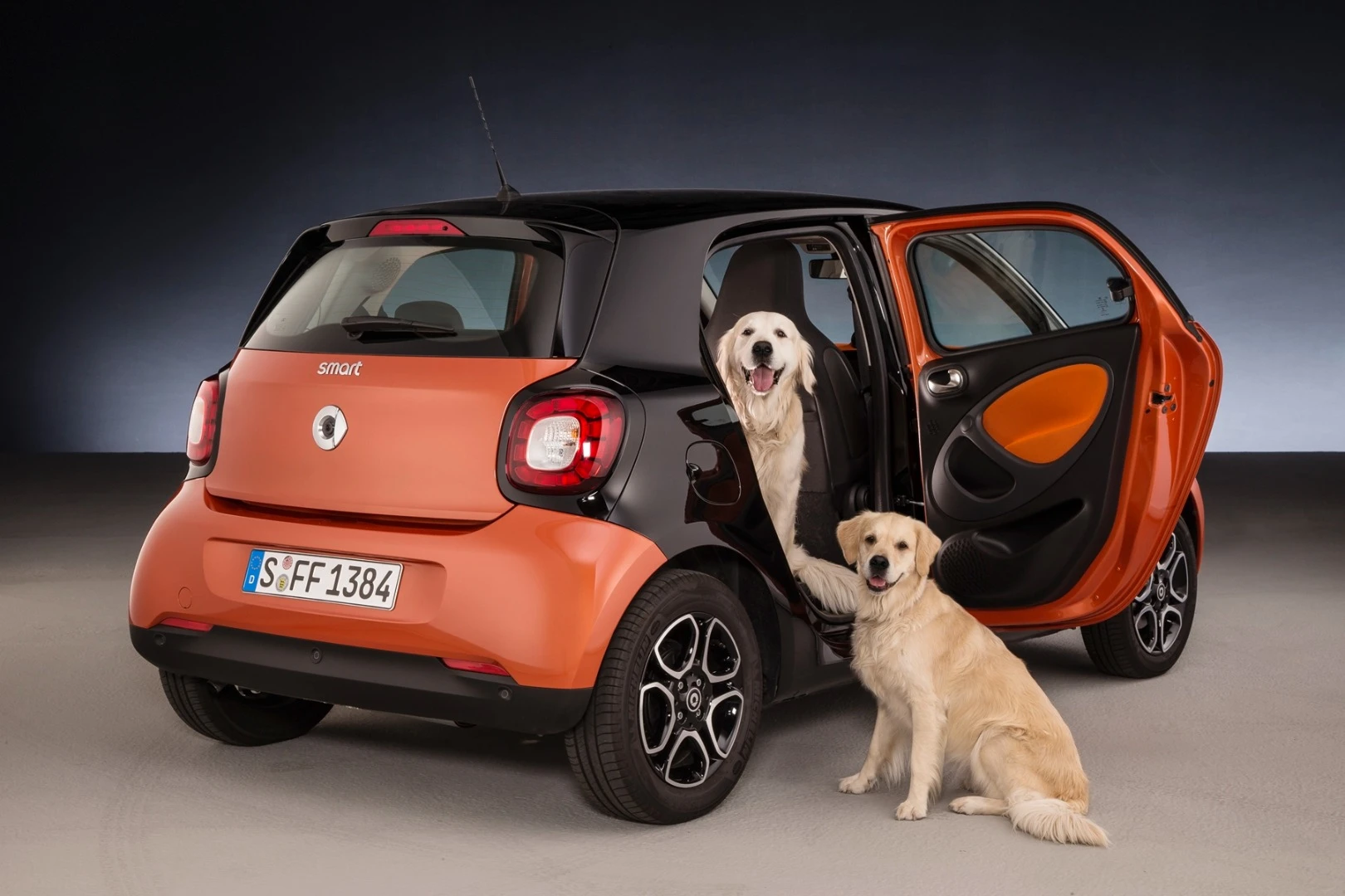The entrance height of the "readyspace seats" can be lowered by 12 cm (4.7 inches) to provide easier access for dogs