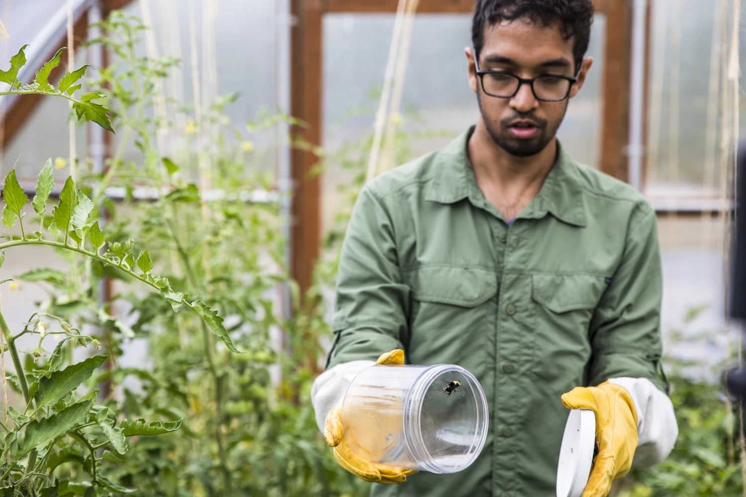 The bionic bees could collect data about a whole farm