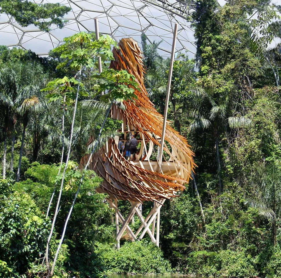 UK architectural firm Blue Forest has revealed its plans to build a large nest-like treehouse within the Eden Project’s Humid Tropics Biome