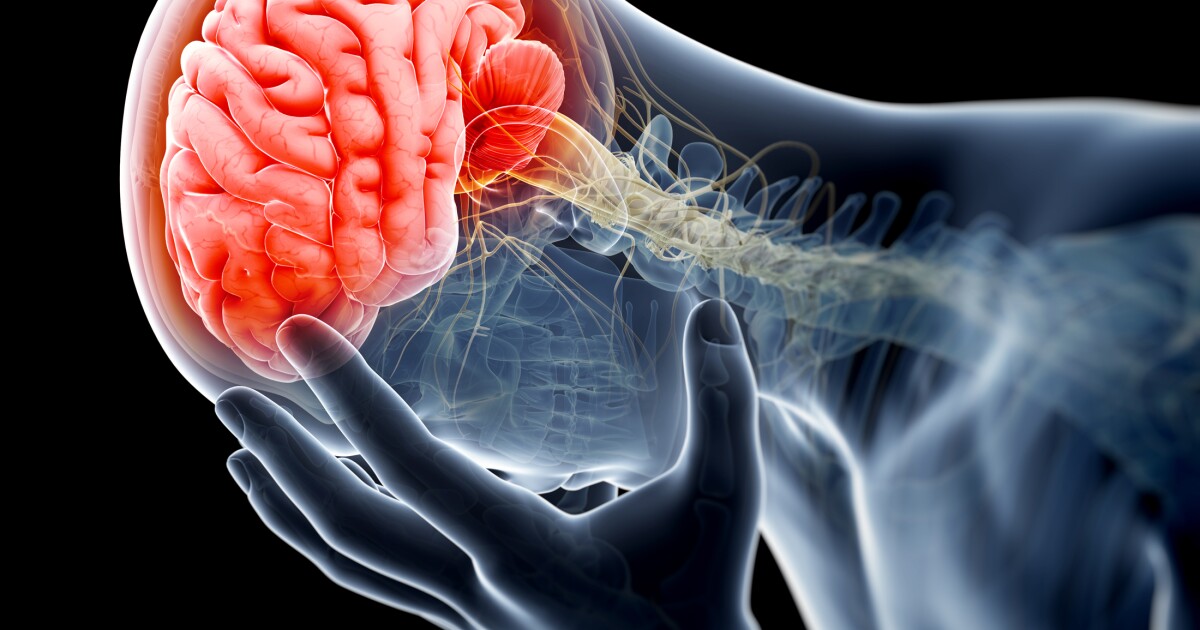 Заболевания нервной системы. Угнетение мозга. Угнетение мозга. Капилляры головного мозга. Инсульт картинки.