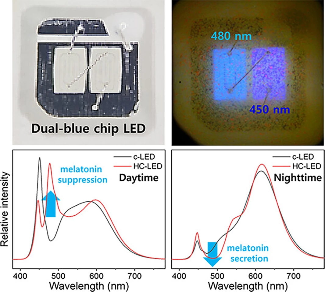 The dual-chip blue light LED (above) and its effect on melatonin levels during day- and nighttime (below)