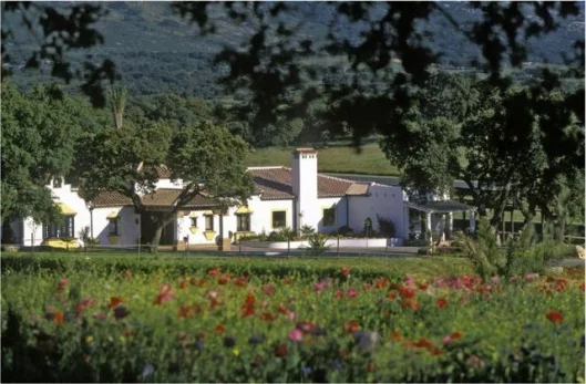 The resort has wifi access throughout and a health spa and beauty centre is being constructed to ensure the gentleman racer can bring female companionship that doesn’t wish to play with the cars.