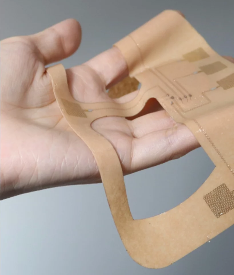 The upper patch, which goes around the eyes and across the forehead