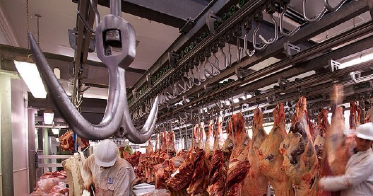 The first labgrown hamburger will cost 345,000