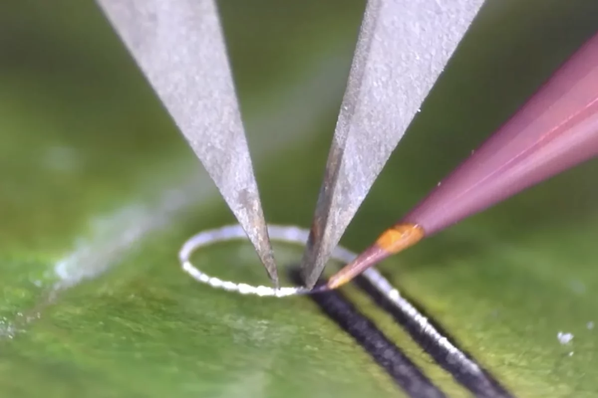 The Meta-NFS device concentrates microwave energy into a zone smaller than 200 micrometers, about the width of a human hair, enabling electronics to be printed onto bone, tissue, and living plants