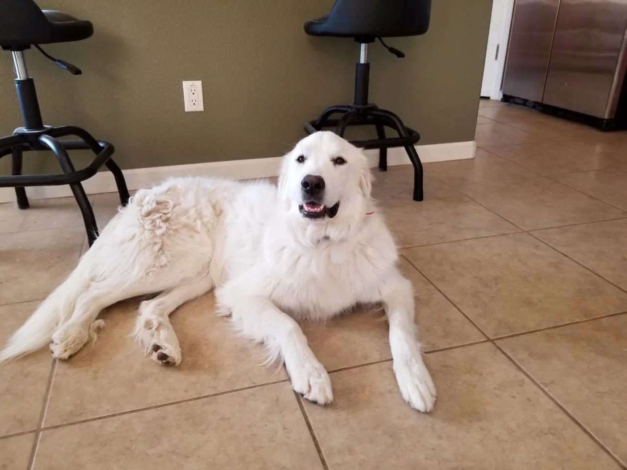 Sample shot taken with Galaxy S8+