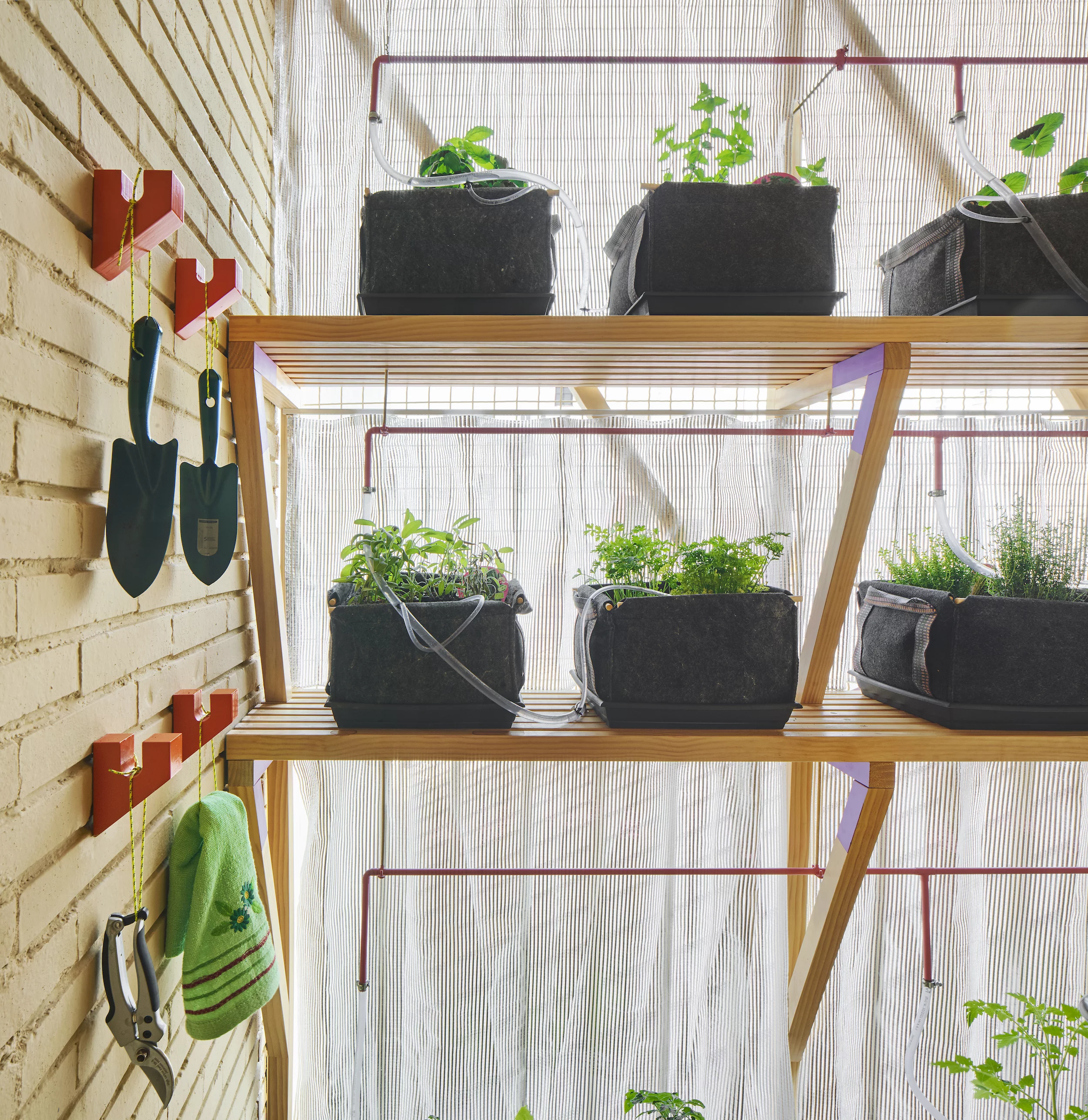 Another shot of the apartment's small indoor garden