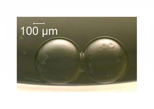 Two artificial cells that can act as a tiny battery(Credit: NIST)