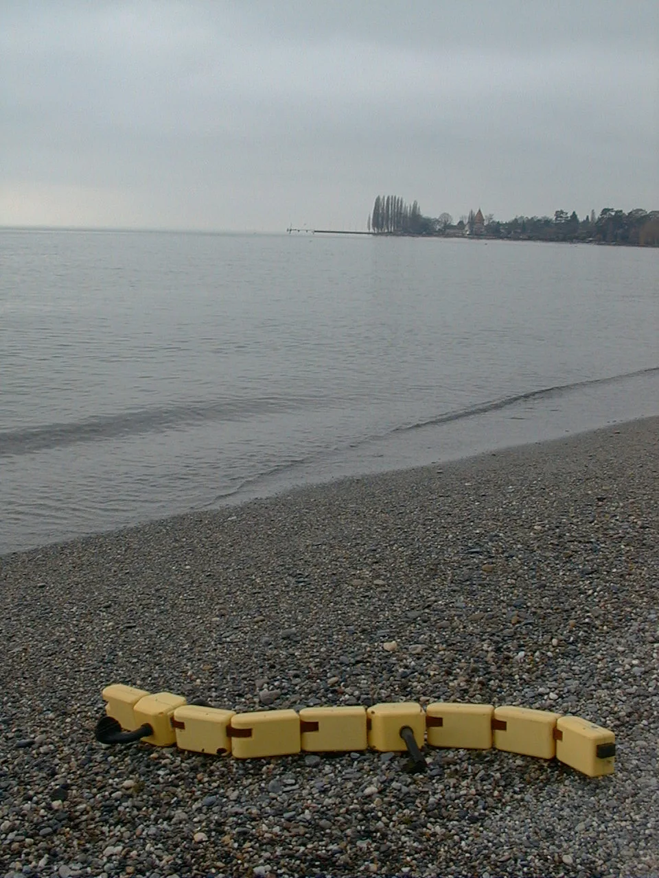 The researchers hope the upgraded motion will help in developing more amphibious robots that can travel over land and water equally (Photo Credit: A. Badertscher, Biorobotics Laboratory, EPFL)