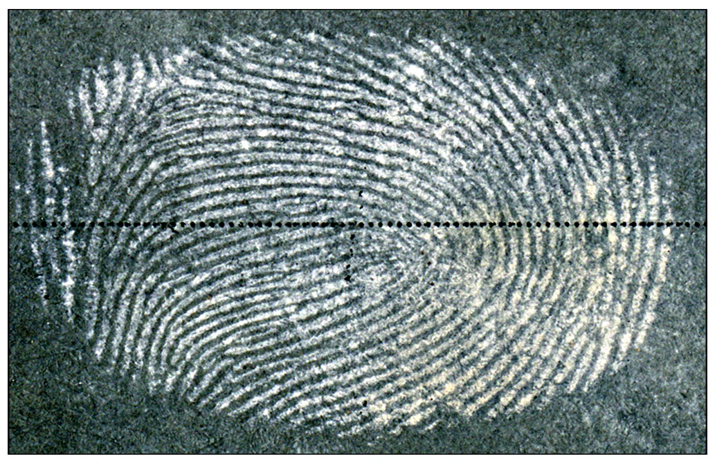 A fingerprint image obtained using the new method