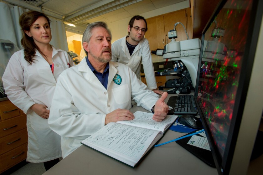 The researchers are hopeful of commencing human clinical trials within the next two years