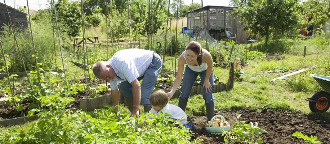 Smart Urban Villages – communal gardens and vegie patches