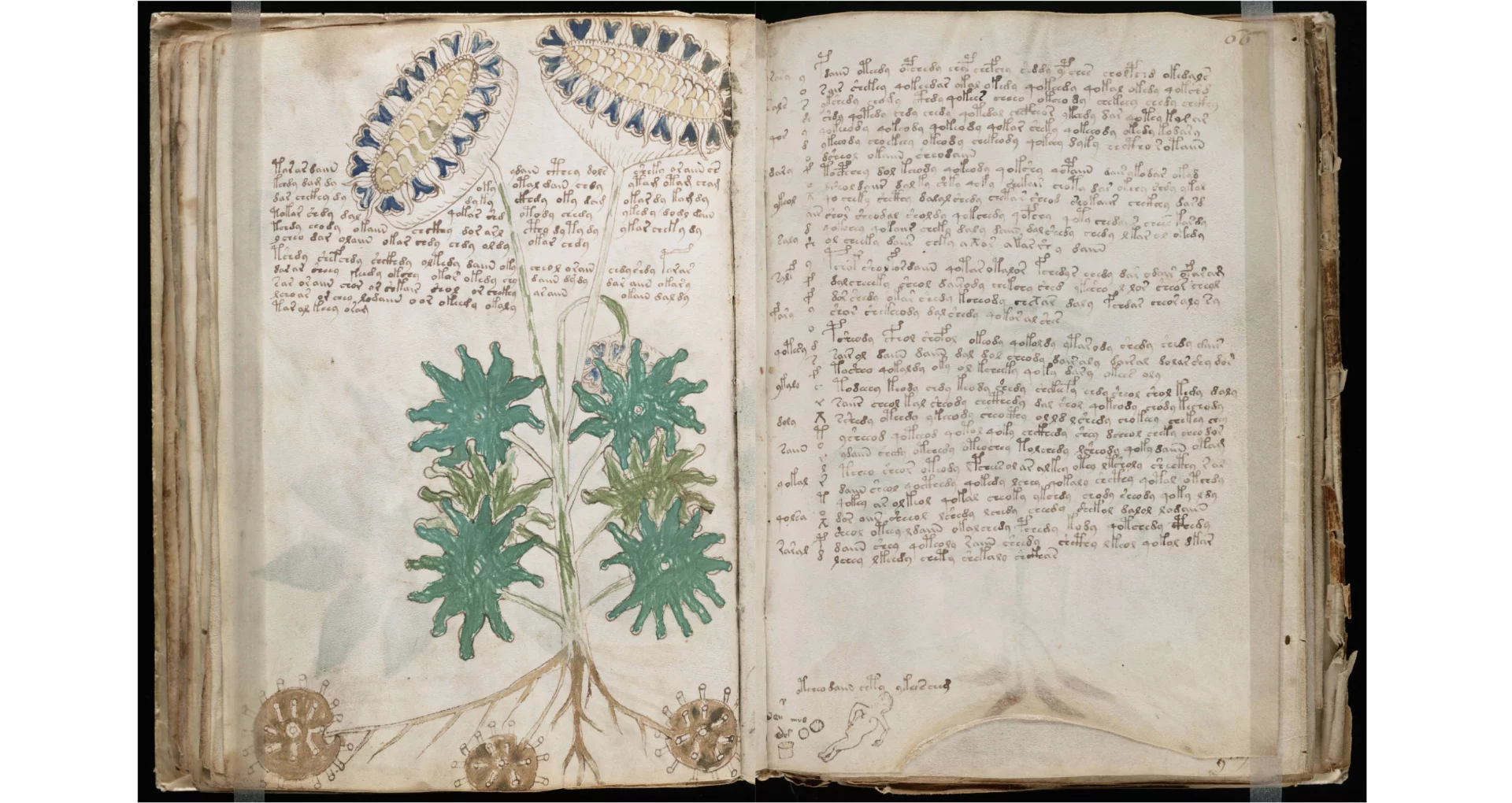 The Voynich manuscript has been carbon dated to the middle of the Fifteenth Century