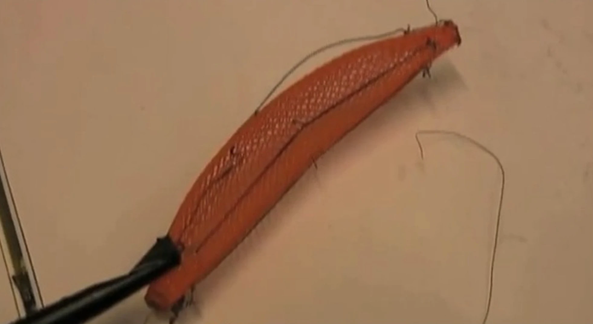 A series of shape-memory wires give Meshworm its motive power (Photo: MIT)