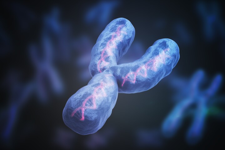 New findings offer insight into male reproduction and other markers such as cancer risk