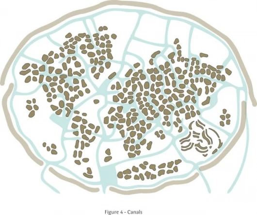 The World in schematic form