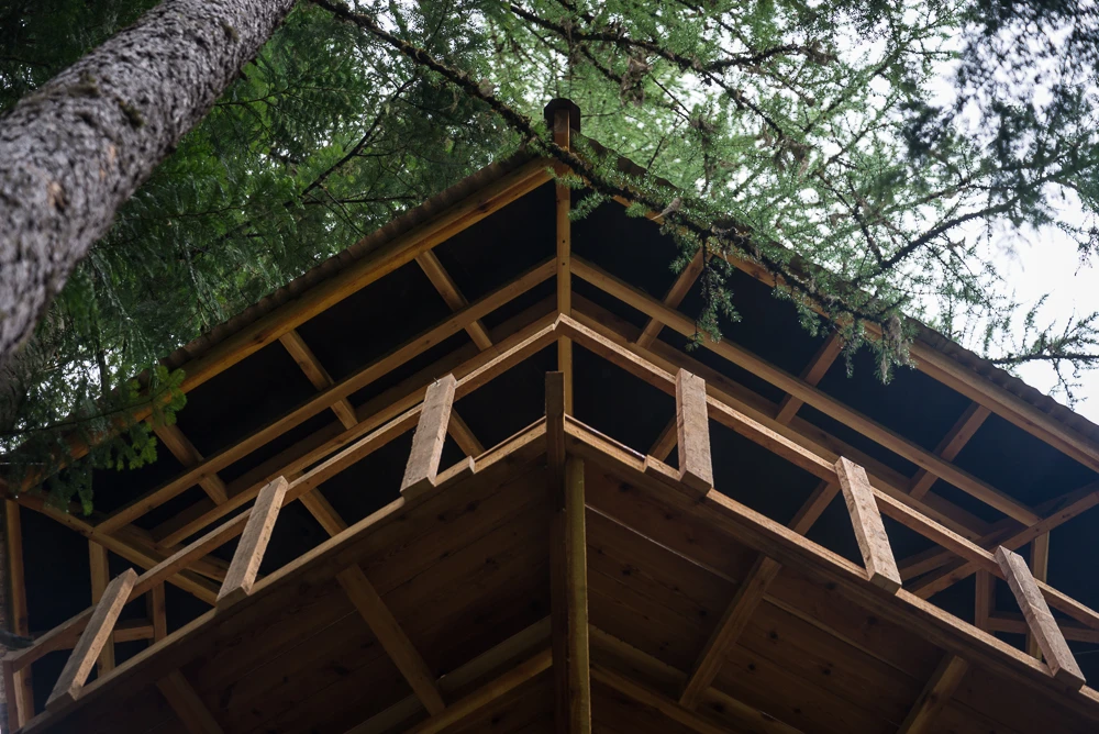 The treehouse is made from Western Red Cedar and harvested from the property where it is built (Photo: Ethan Schlussler)