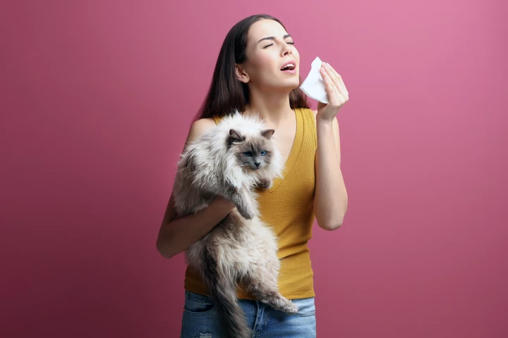 UV222 light is a passive, quick way to inactivate indoor airborne allergens like cat dander