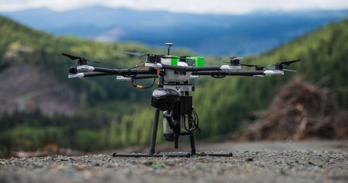 Treeplanting drones to speed up reforestation efforts