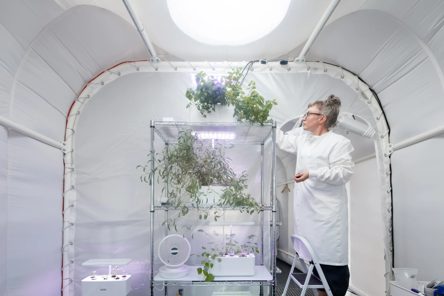 The Martian House's interior includes a hydroponic farm/living room