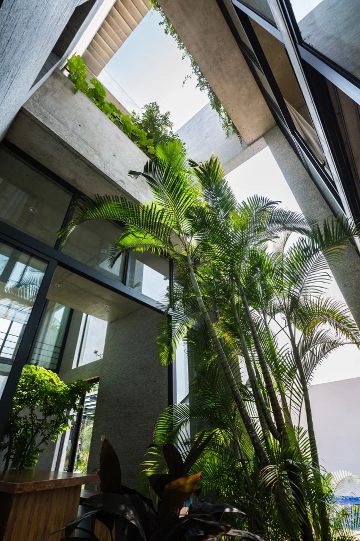 Binh House's small courtyard garden
