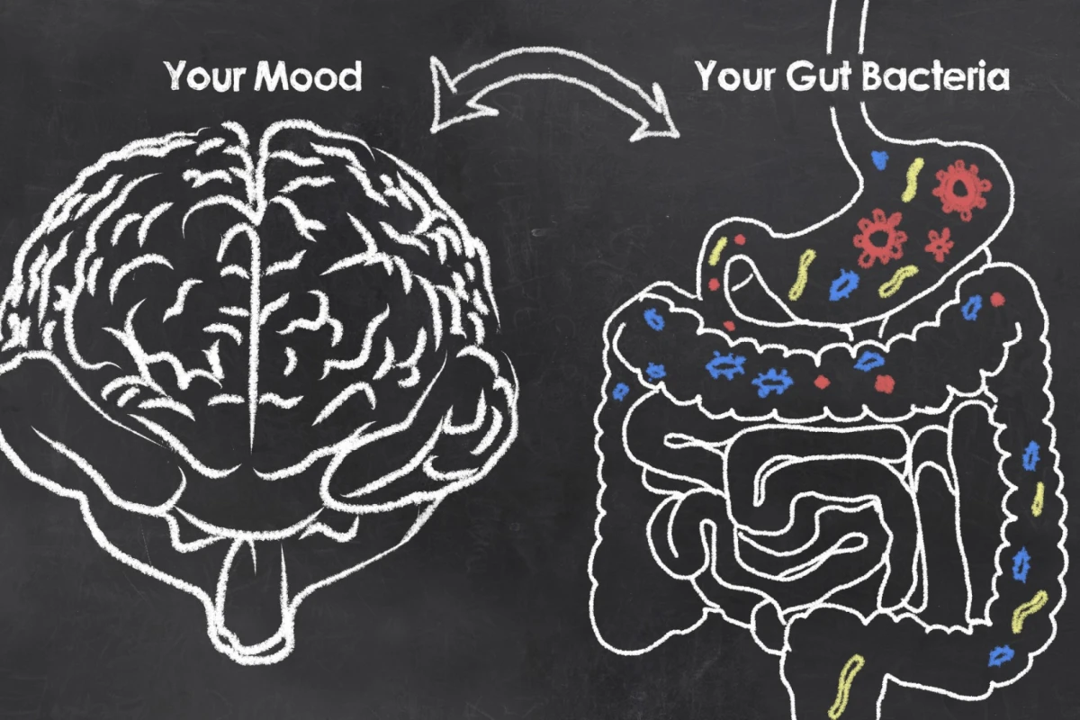 Examining over 1,000 people, a new study revealed two bacteria in particular as being strongly associated with mood and depression