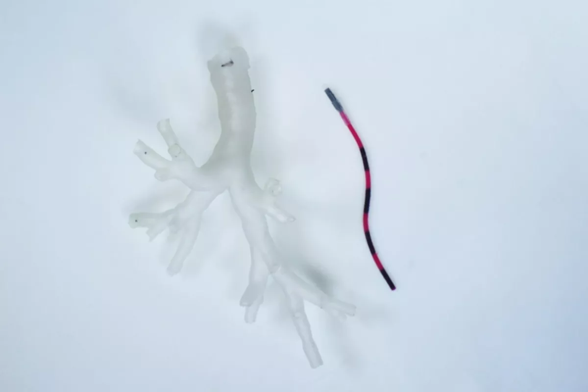 Scientists have developed a magnetically-guided tentacle-like robot that can reach new depths of the lungs