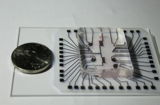 The lab on a chip contains a clear silicone microfluidic chamber for housing cells and a reusable flexible sheet of polyester with commercially available conductive nanoparticle ink making up the circuit