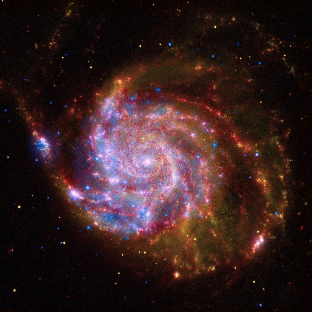 This image of the spiral galaxy Messier 101 is a composite of views from the Spitzer Space Telescope, Hubble Space Telescope, and Chandra X-ray Observatory. Each wavelength region shows different aspects of celestial objects and often reveals new objects that could not otherwise be studied
