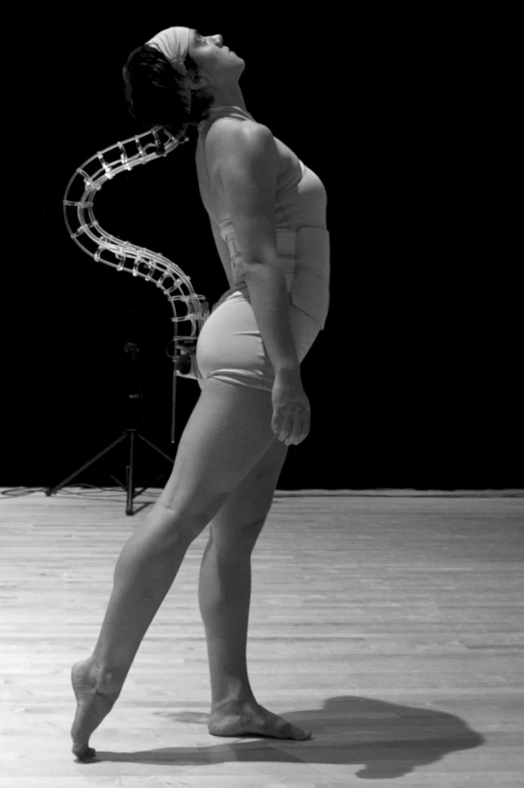 The Spine is flexible enough to bend and twist, but manages to keep its shape