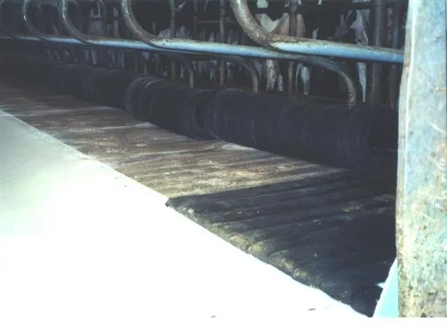 Cozy Cow mattresses installed in a barn