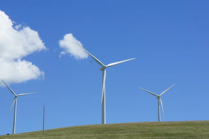 Chinese researchers have developed a biologically inspired control system for wind turbines (Photo: Gizmag)