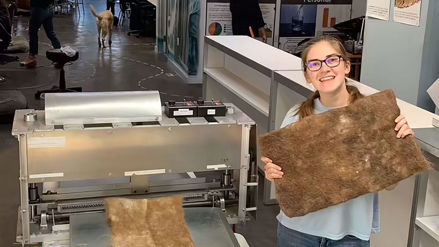 Matter of Trust volunteer gleefully holding up a hair mat...bare handed. I feel like I would be wearing gloves