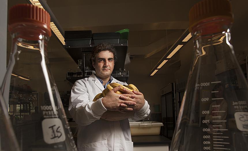 Ioannis Stergiopoulos, plant pathologist at UC Davis, is leading the research