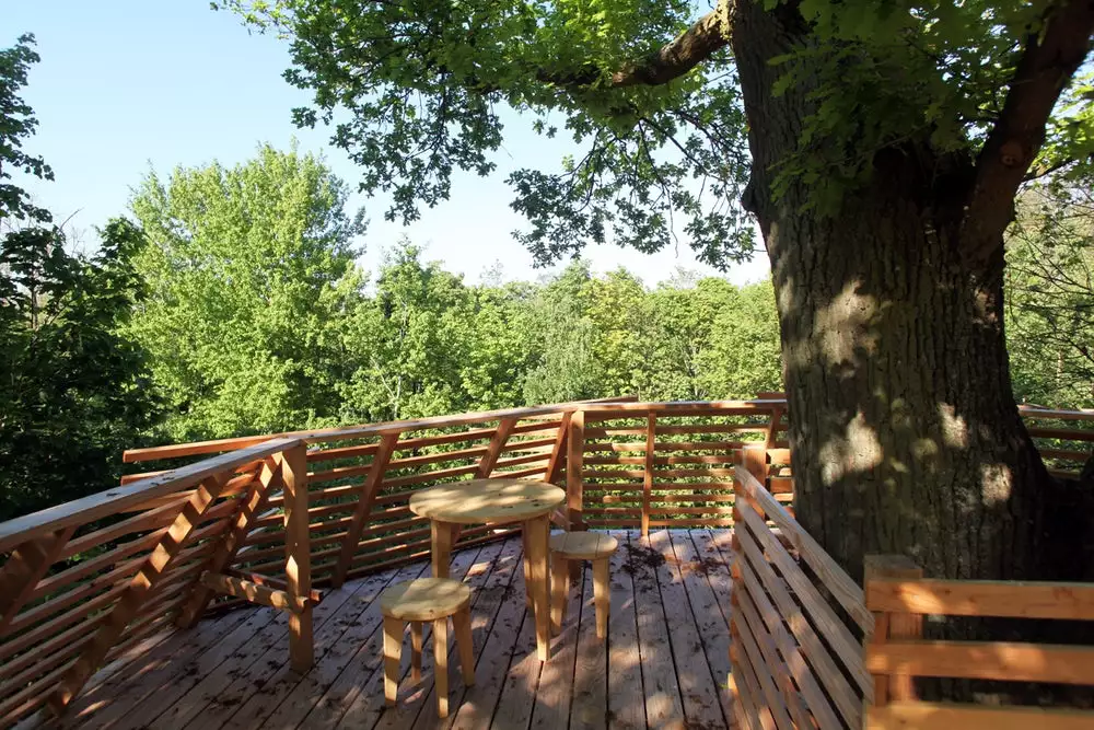 The rooftop deck of the Origin treehouse, offering visitors 360-degree views of the forest surroundings