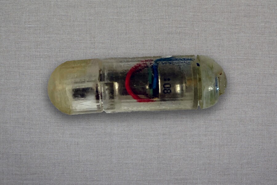 The VIBE pill is designed to start vibrating once it enters the stomach, activating a biological system that suppresses appetite