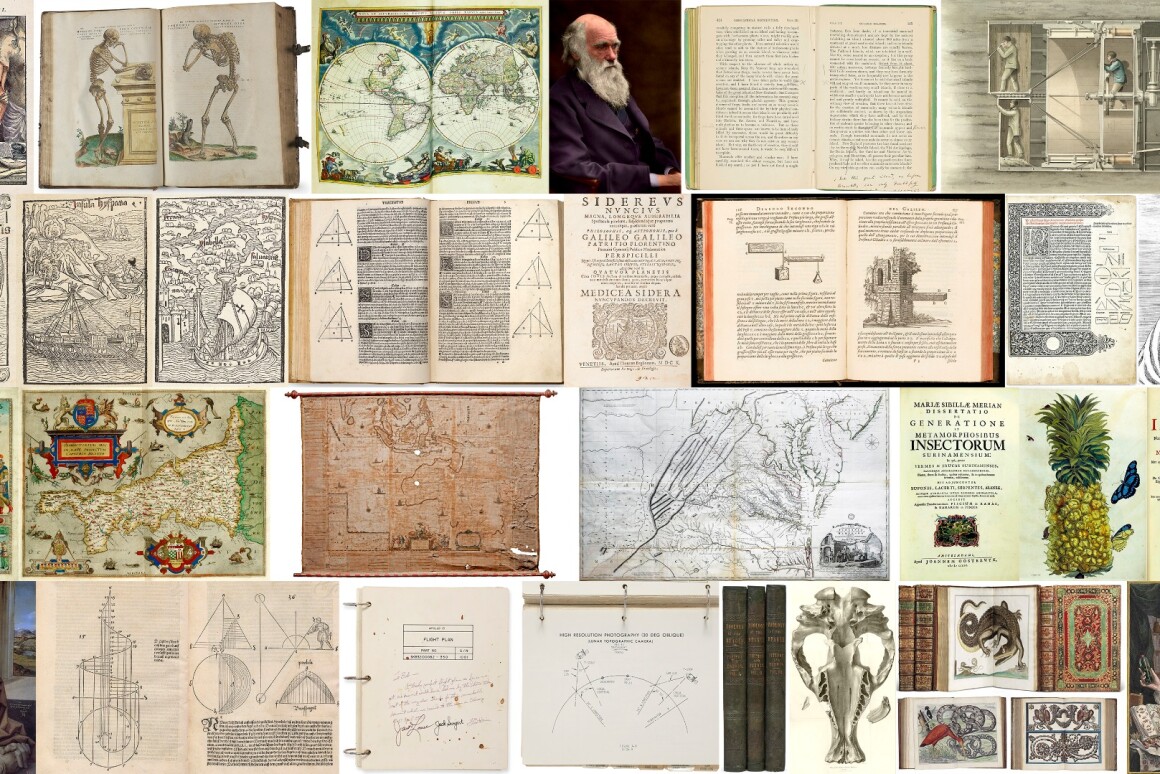 The 50 most valuable scientific documents of 2017 The 50 most valuable scientific documents of 2017