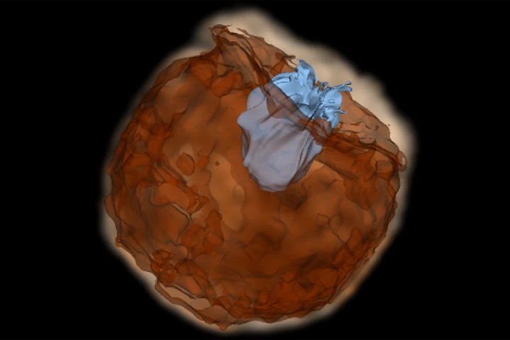 Still from a simulation showing supernova material impacting the companion star at speeds of around 10,000 km per second