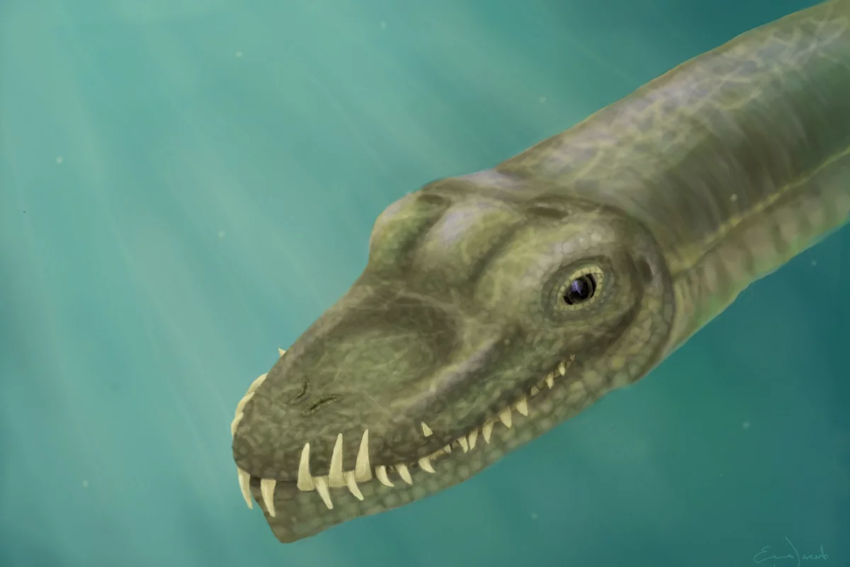 Tanystropheus had nostrils on top of its snout like a crocodile