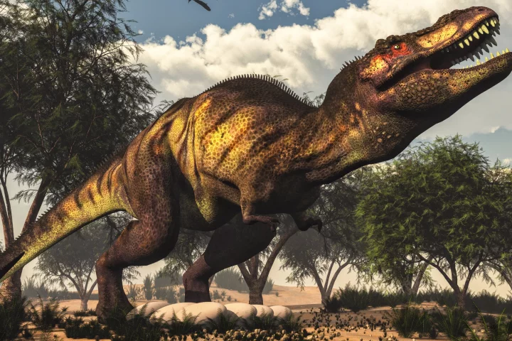 New computer modeling claims that the T. rex wouldn't have been able to run due to its size and weight