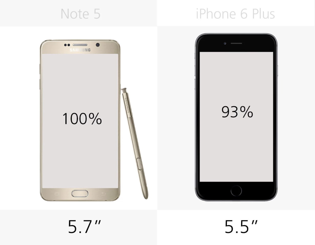 Display size