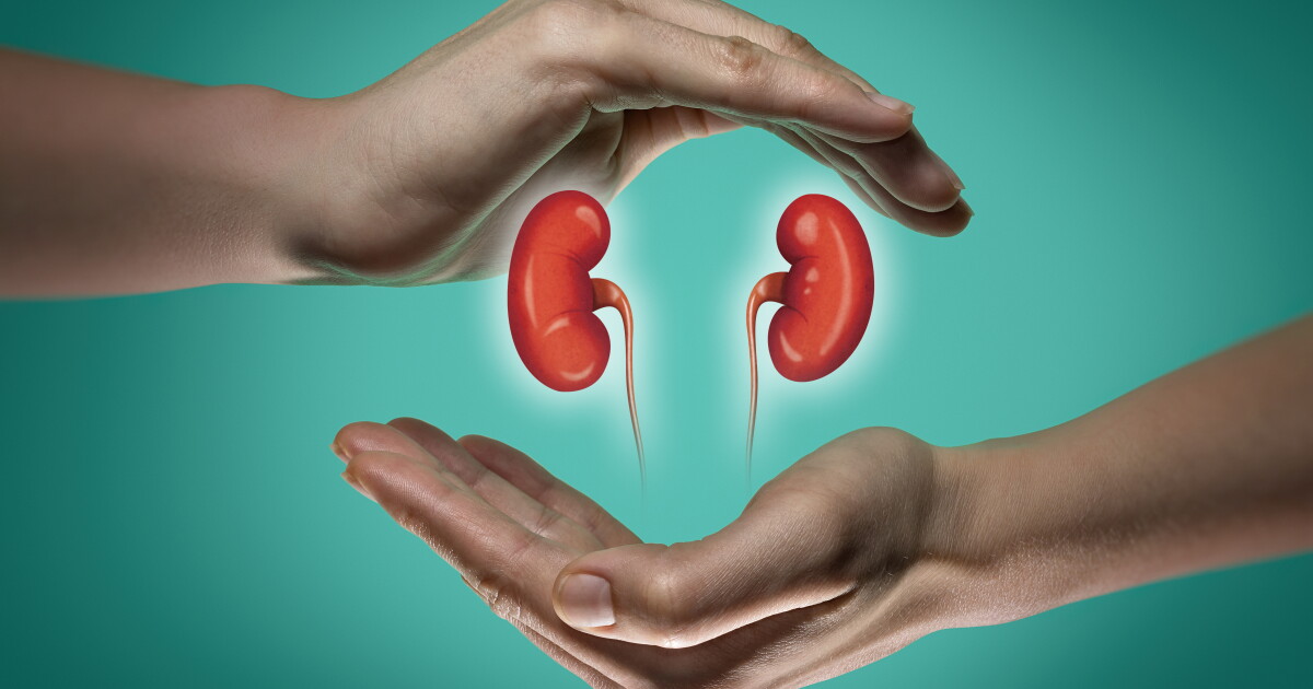 Healthy oral, gut and urinary bug network can smash kidney stones