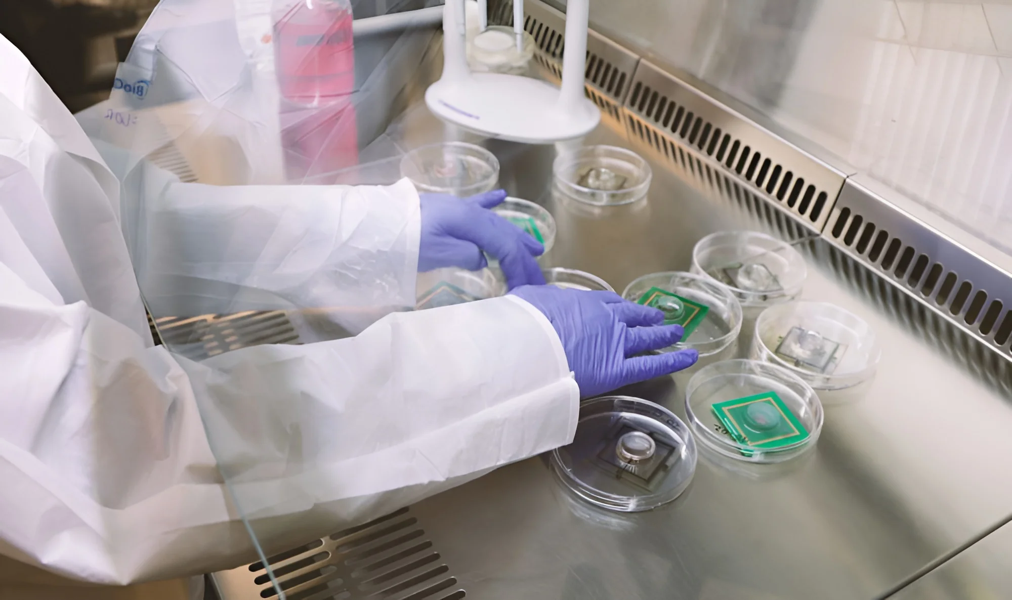 Living brain-cell biocomputers are now training on dopamine