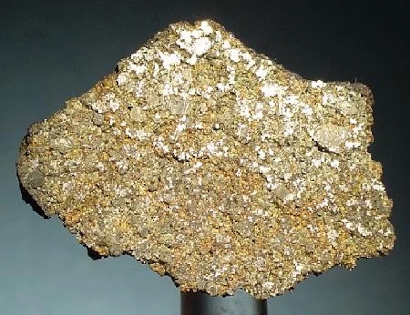 A meteorite sample rich in tetrataenite